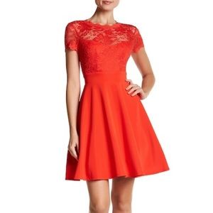 Bebe Lace Detail Dress 4